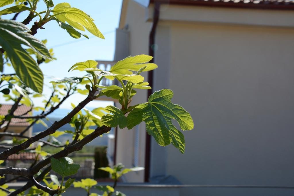 Apartments Dida Moj Šmrika Dış mekan fotoğraf